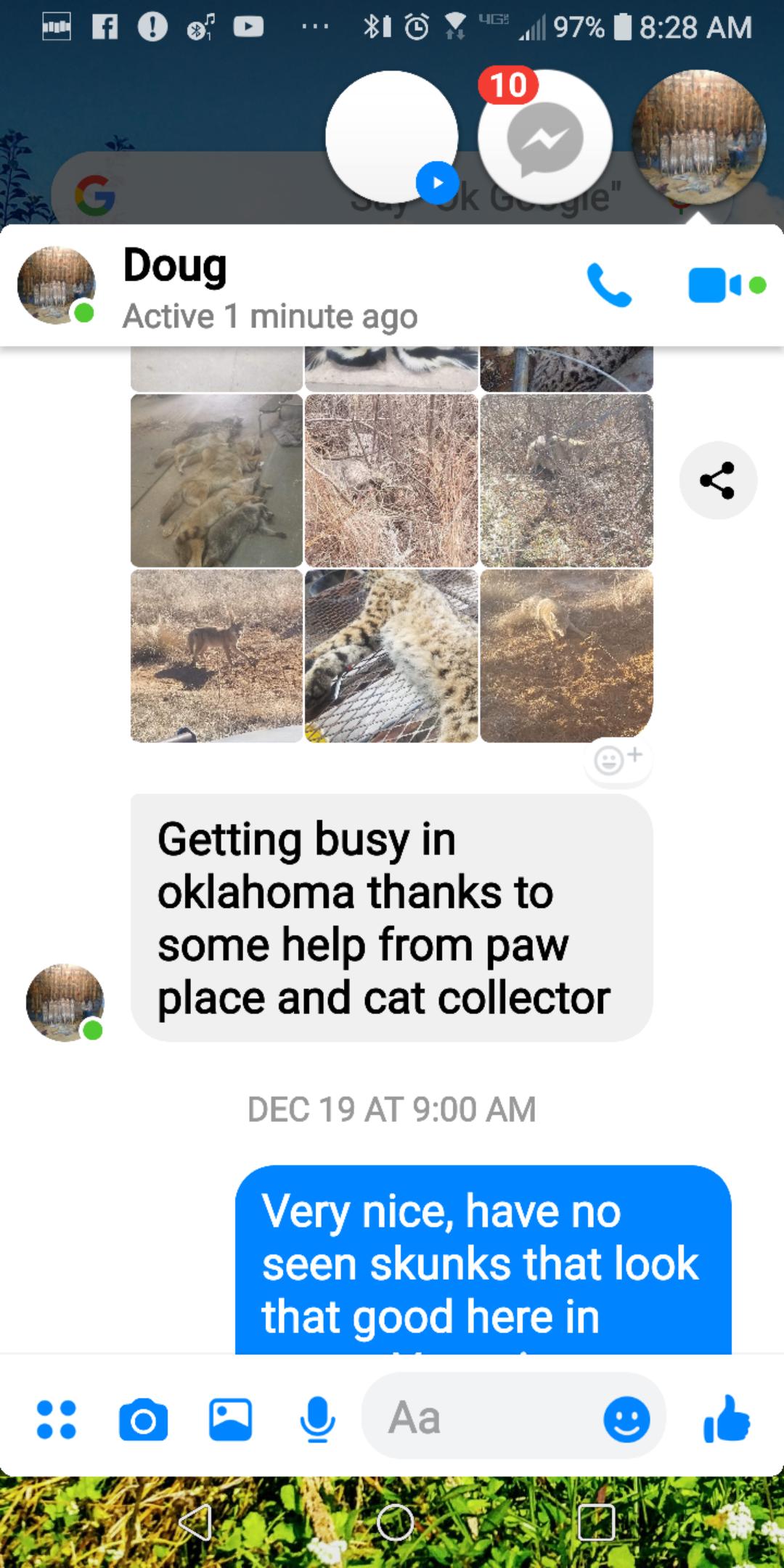 Cat Collector Lure 2oz from Clint Locklear Predator Control Group